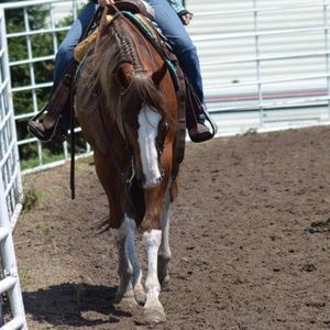 Meet your Posher, Mya